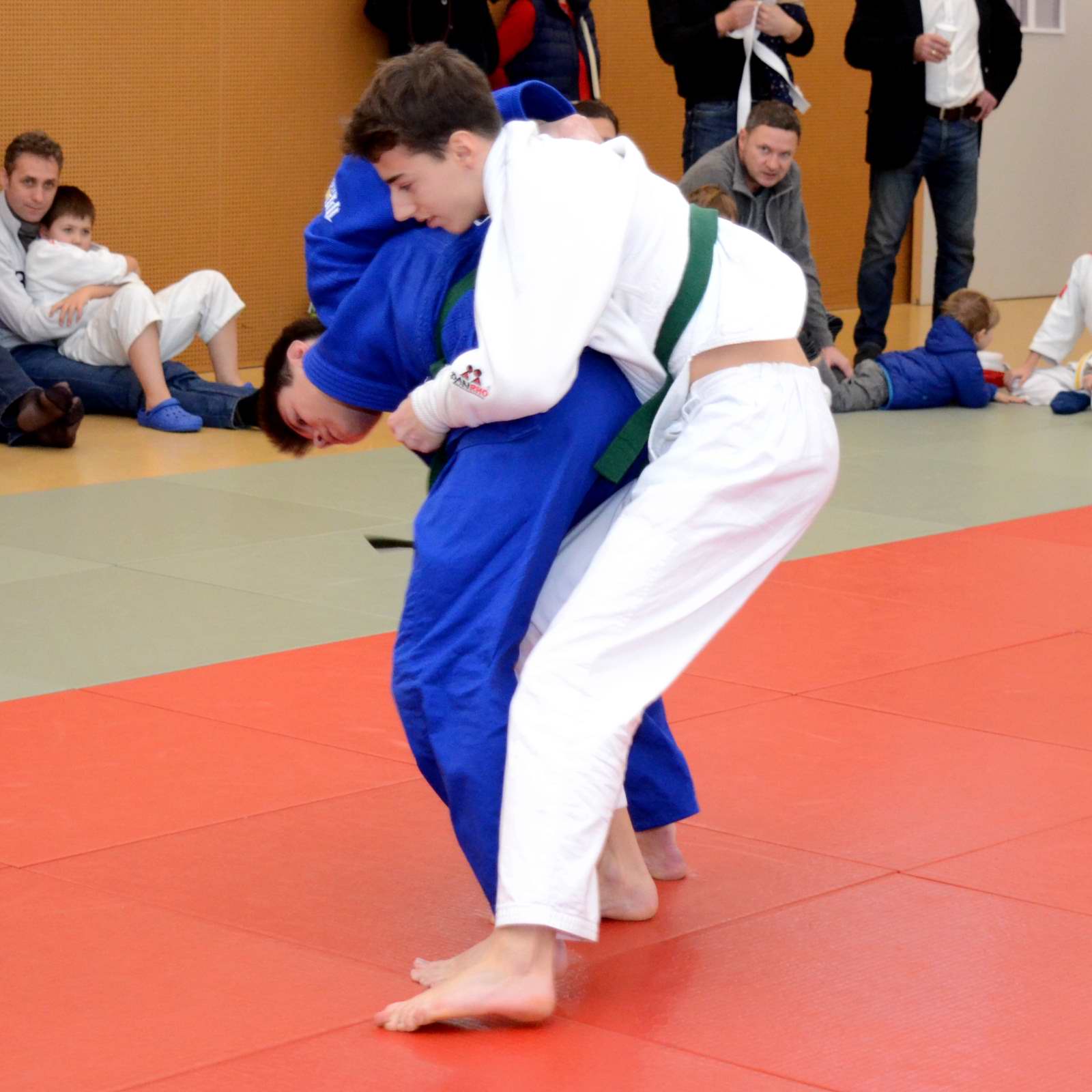 Judo Dresden