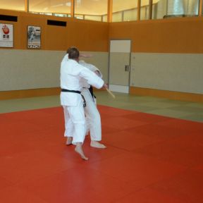 DSC_9241_NB1_4038.JPG
