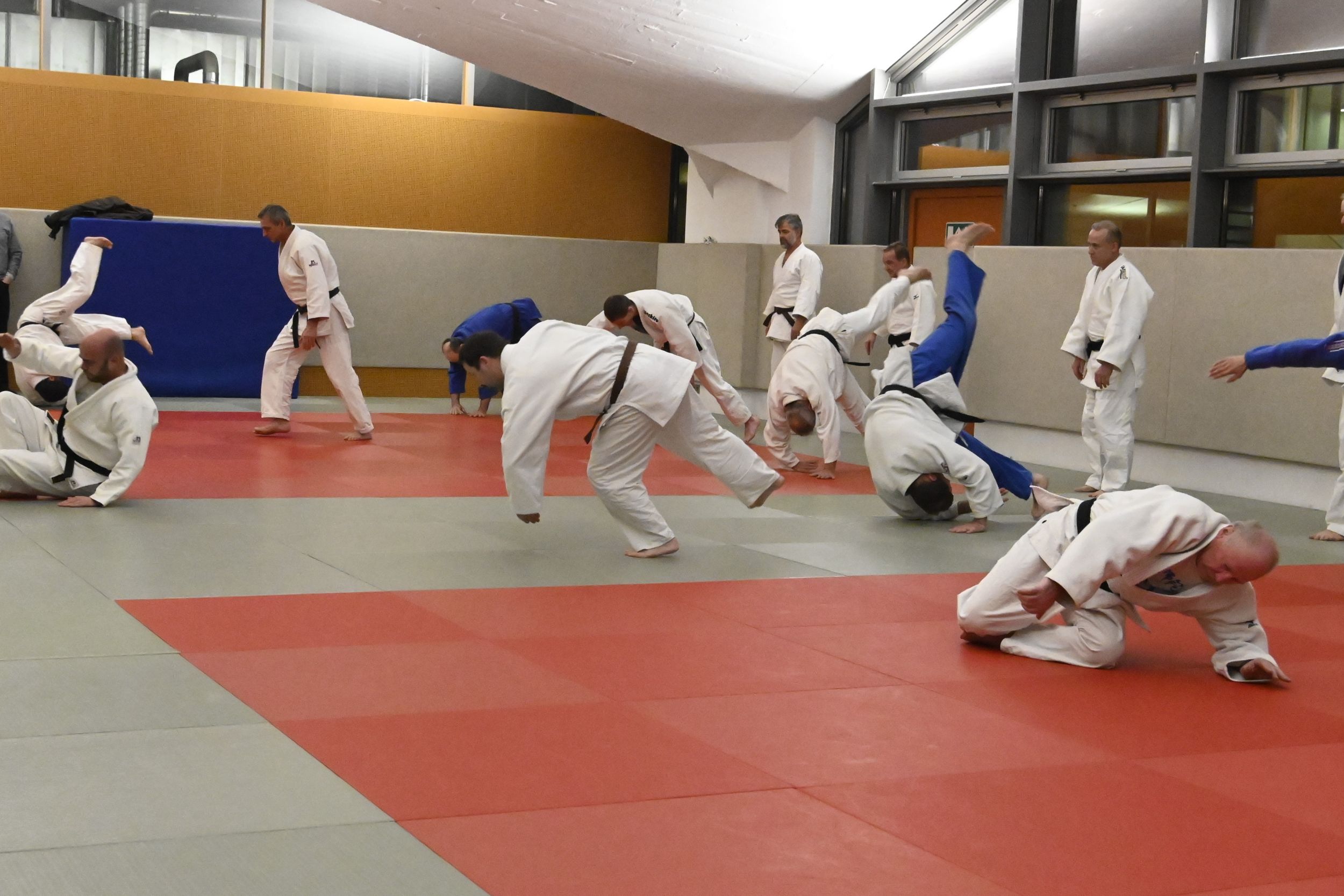 _DSC0669_4379.JPG