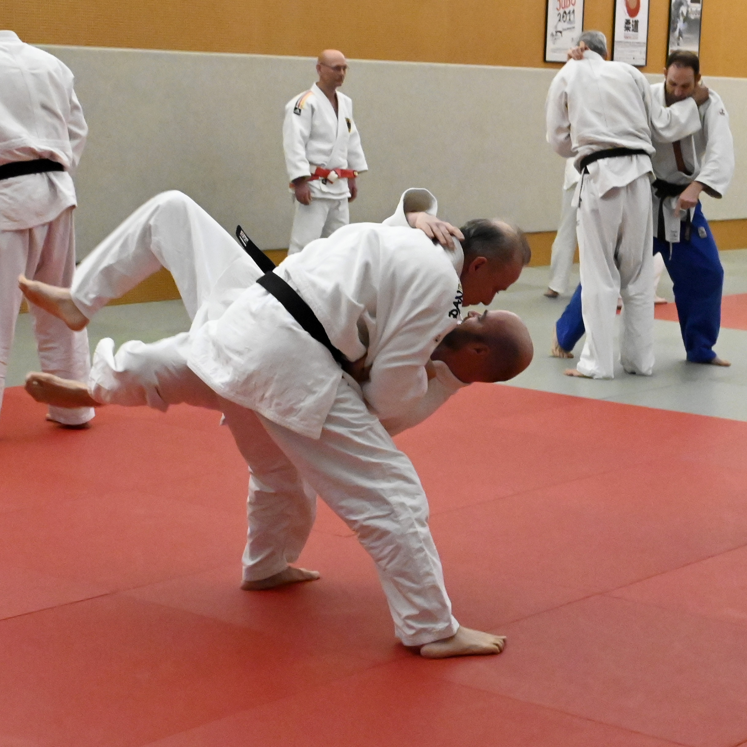 _DSC0841_NB1_4427.JPG